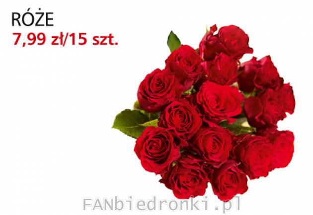 Kwiaty - róże w cenie 7,99PLN za 15 szt.