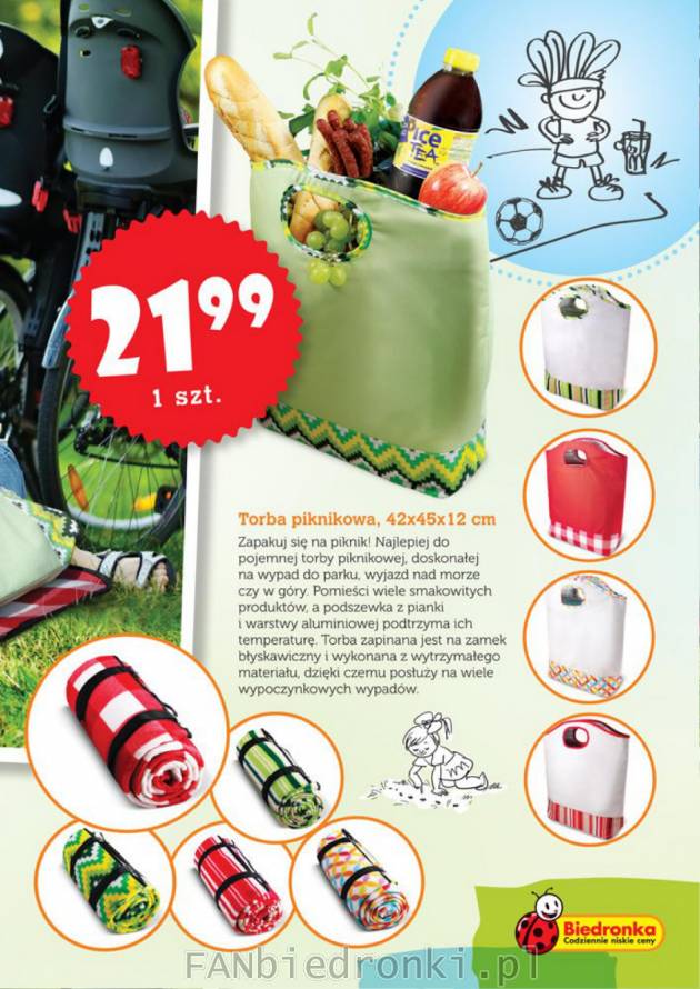 Pojemna torba piknikowa w 3 kolorach do wyboru za 21,99 zł w Biedronce.