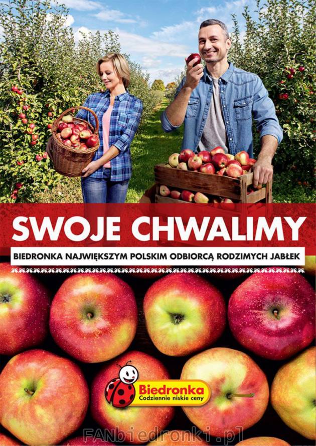 Biedronka skupuje najwięcej polskich jabłek od sadowników.