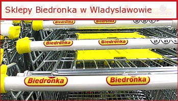 Biedronka w Władysławowie